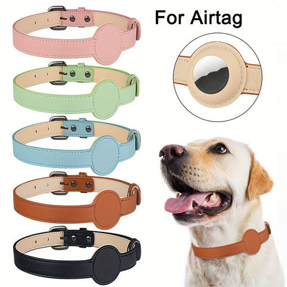 Dog and Cat Collar with Airtag Holder