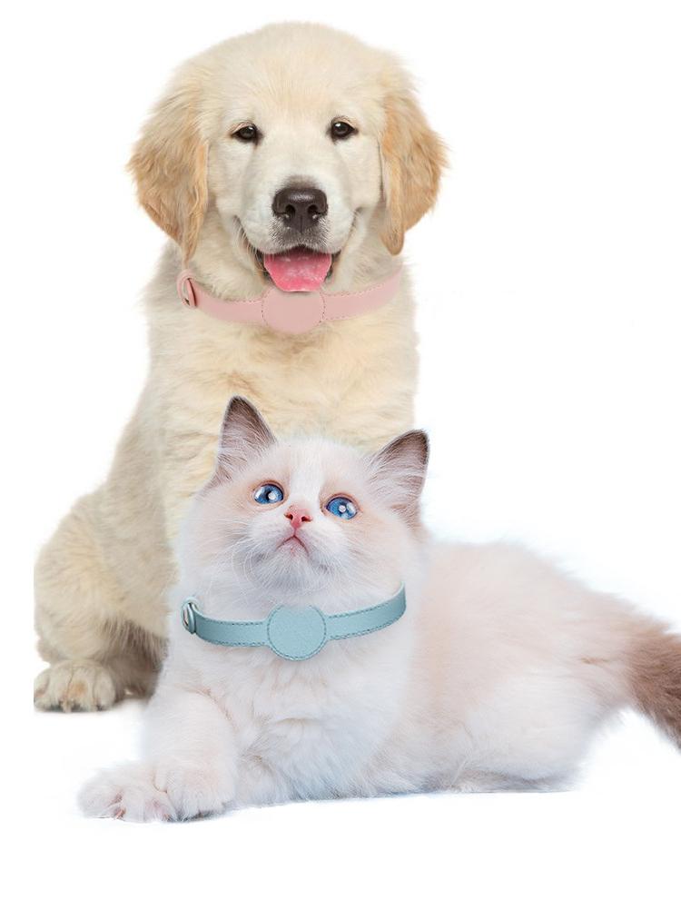 Dog and Cat Collar with Airtag Holder